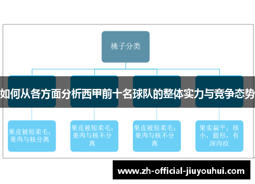 如何从各方面分析西甲前十名球队的整体实力与竞争态势 如何从各方面分析西甲前十名球队的整体实力与竞争态势
