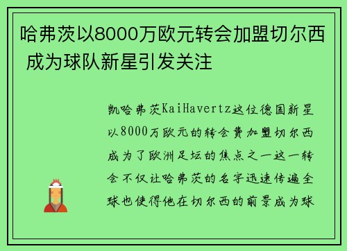 哈弗茨以8000万欧元转会加盟切尔西 成为球队新星引发关注